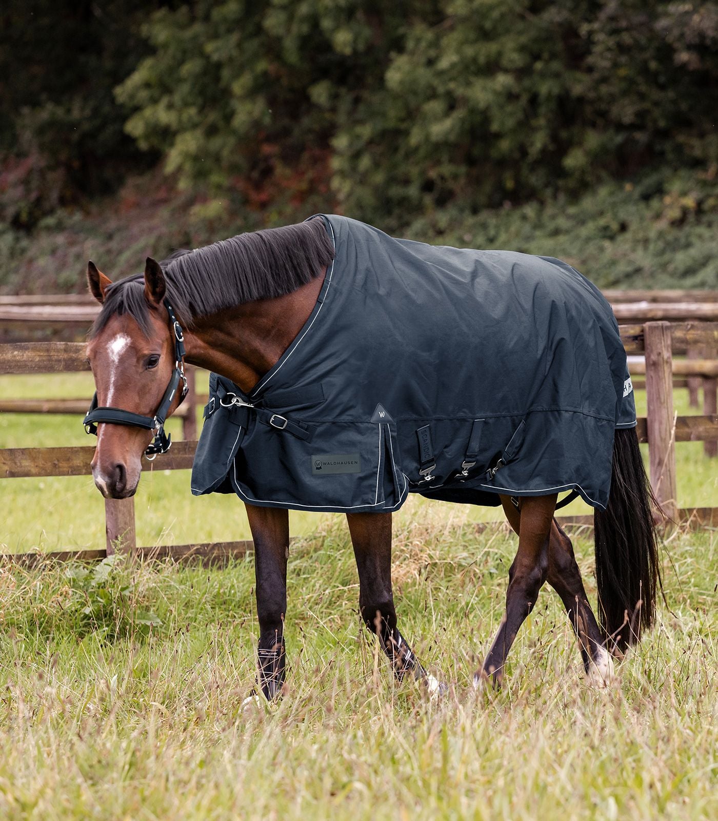 Couverture d’extérieur SCANDIC, 0g