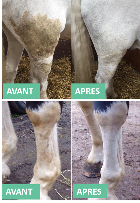 EKIN Détachant Robe et Crin