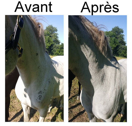 EKIN Spray d’Eté Répulsif Insectes Waterproof