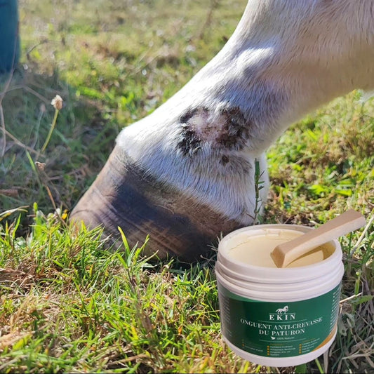 EKIN Onguent Anti-Crevasse et Gale de boue