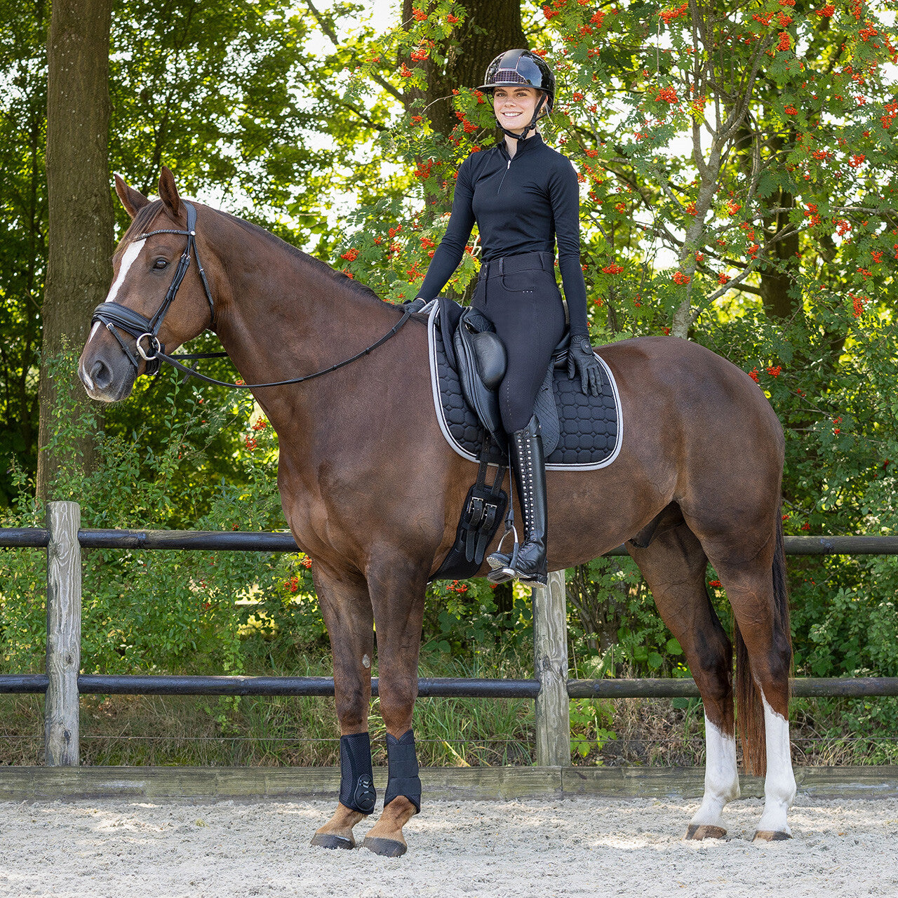 Sangle de dressage Air Mesh
