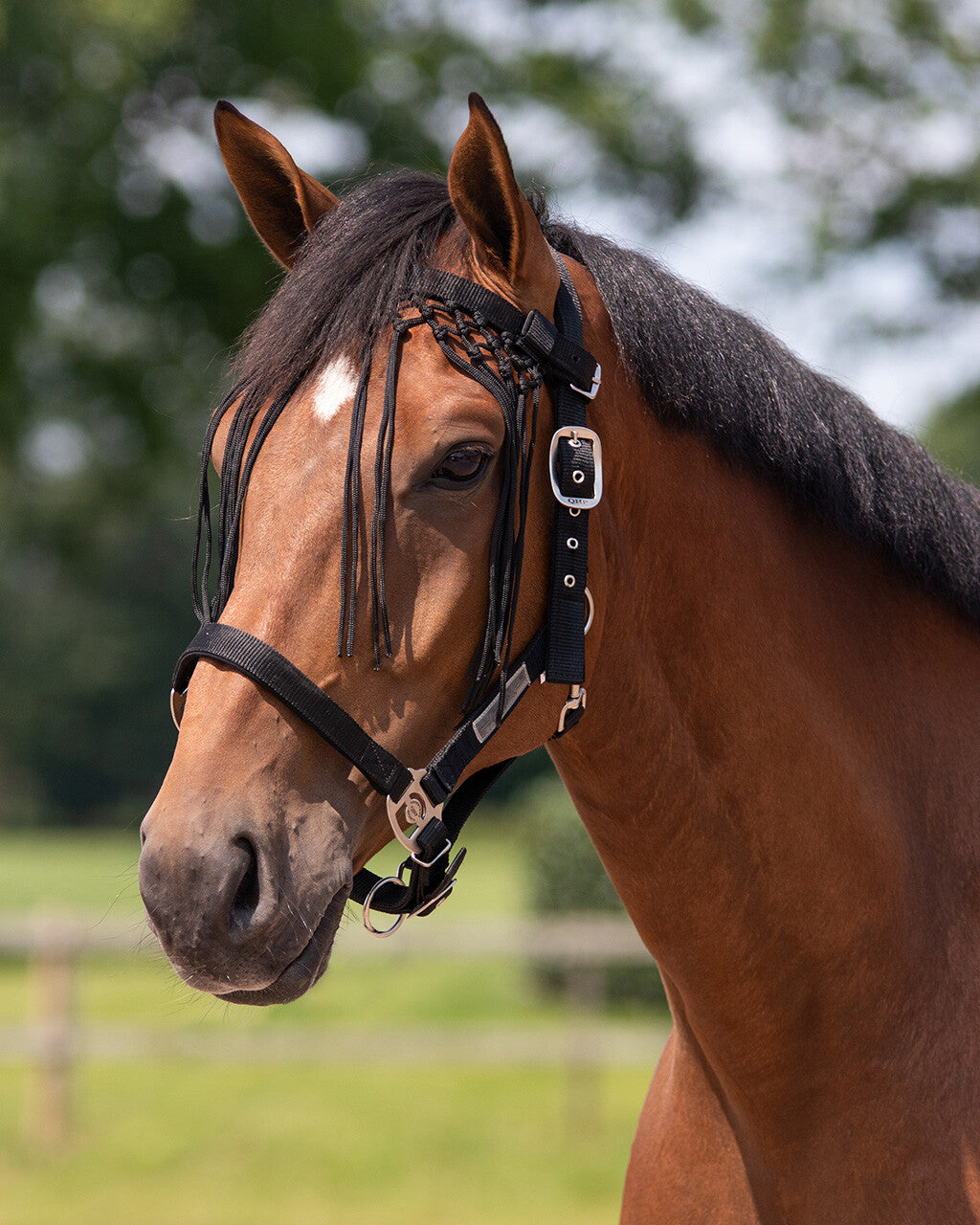 Frontal chasse mouche Knotted