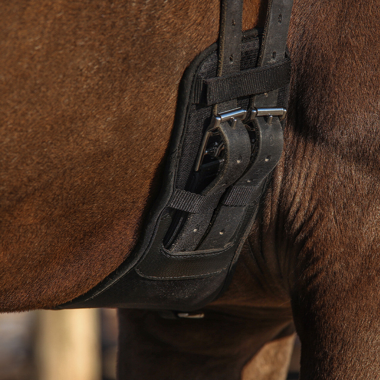 Sangle de dressage Air Mesh