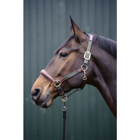 Licol Luna cuir et nylon