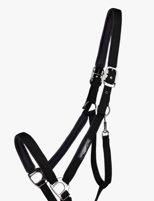 Licol Deluxe cheval de trait