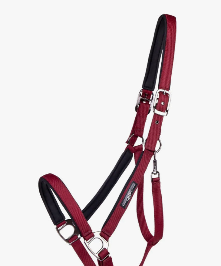 Licol Deluxe cheval de trait