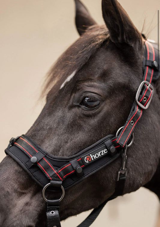 Licol cairo infrarouge