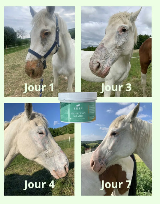 Crème solaire EKIN