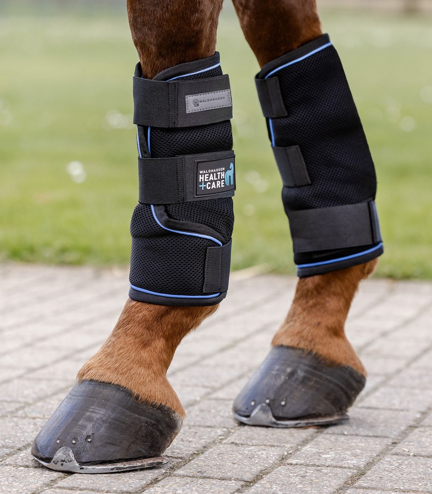 GUÊTRES refroidissante WALDHAUSEN HEALTH + CARE ICE LAYER, LA PAIRE