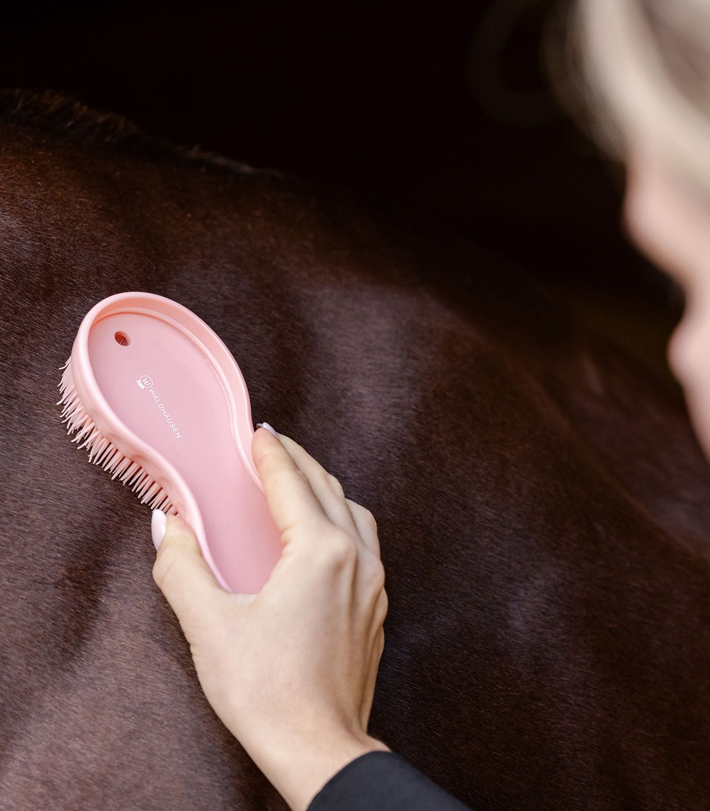 Lot brosse “a tout faire ”