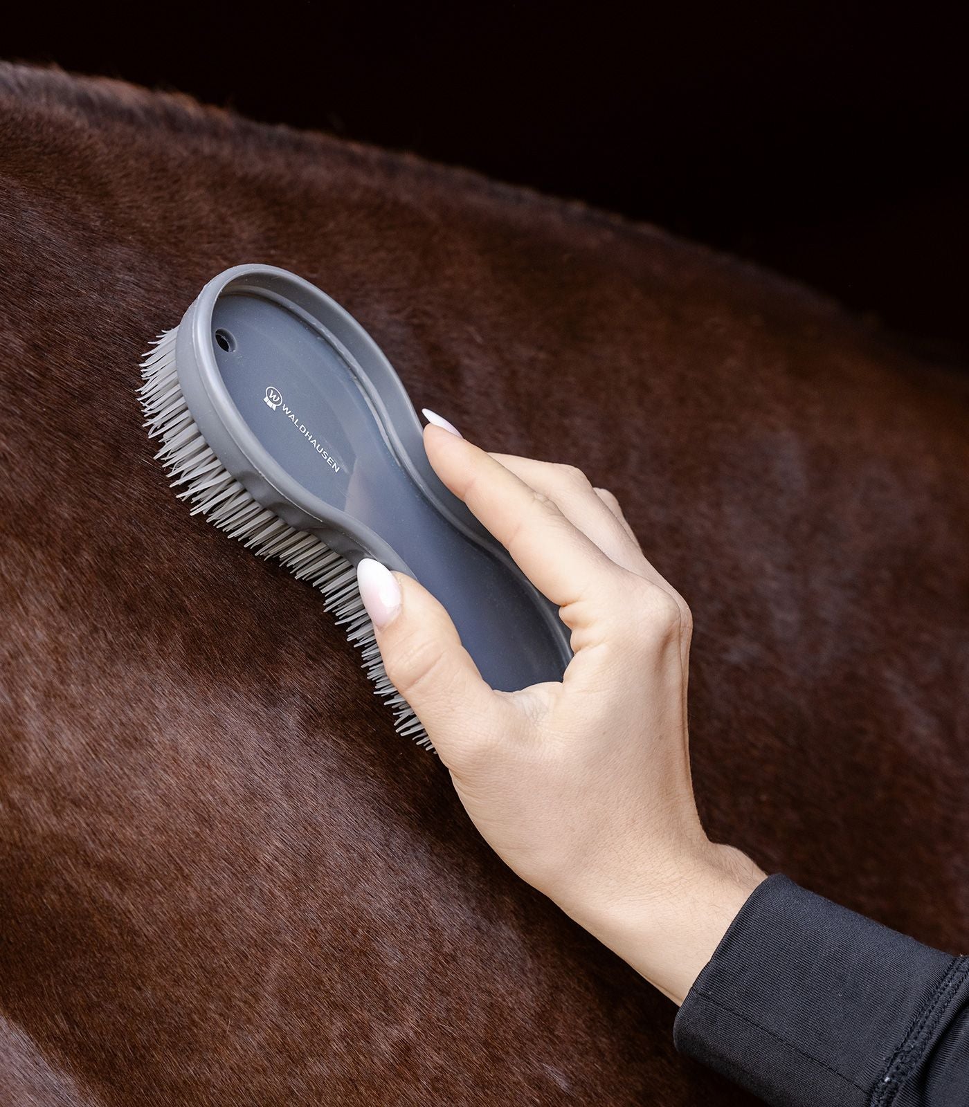 Lot brosse “a tout faire ”