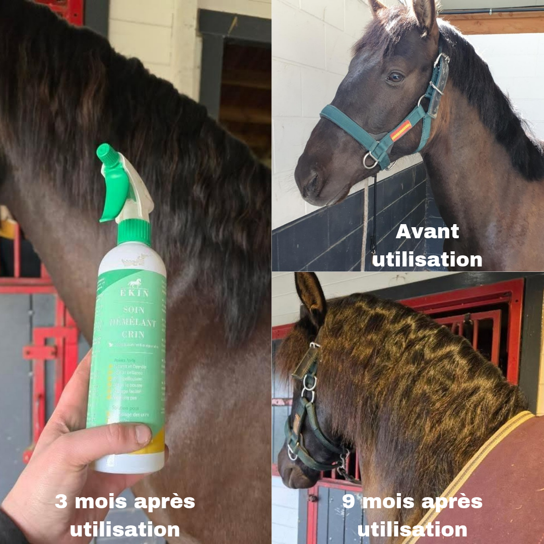 EKIN Soin Démêlant Crin