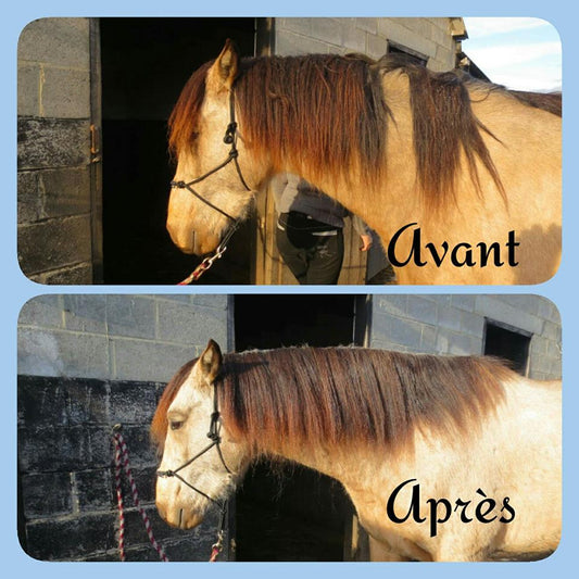 EKIN Soin Démêlant Crin