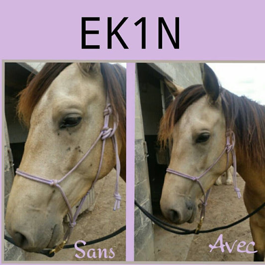 Recharge pour EKIN Spray répulsif Insectes