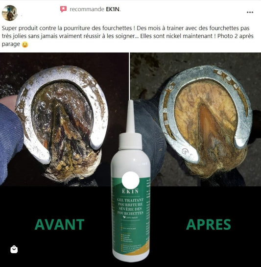 EKIN Gel Traitant Pourriture Sévère des Fourchettes