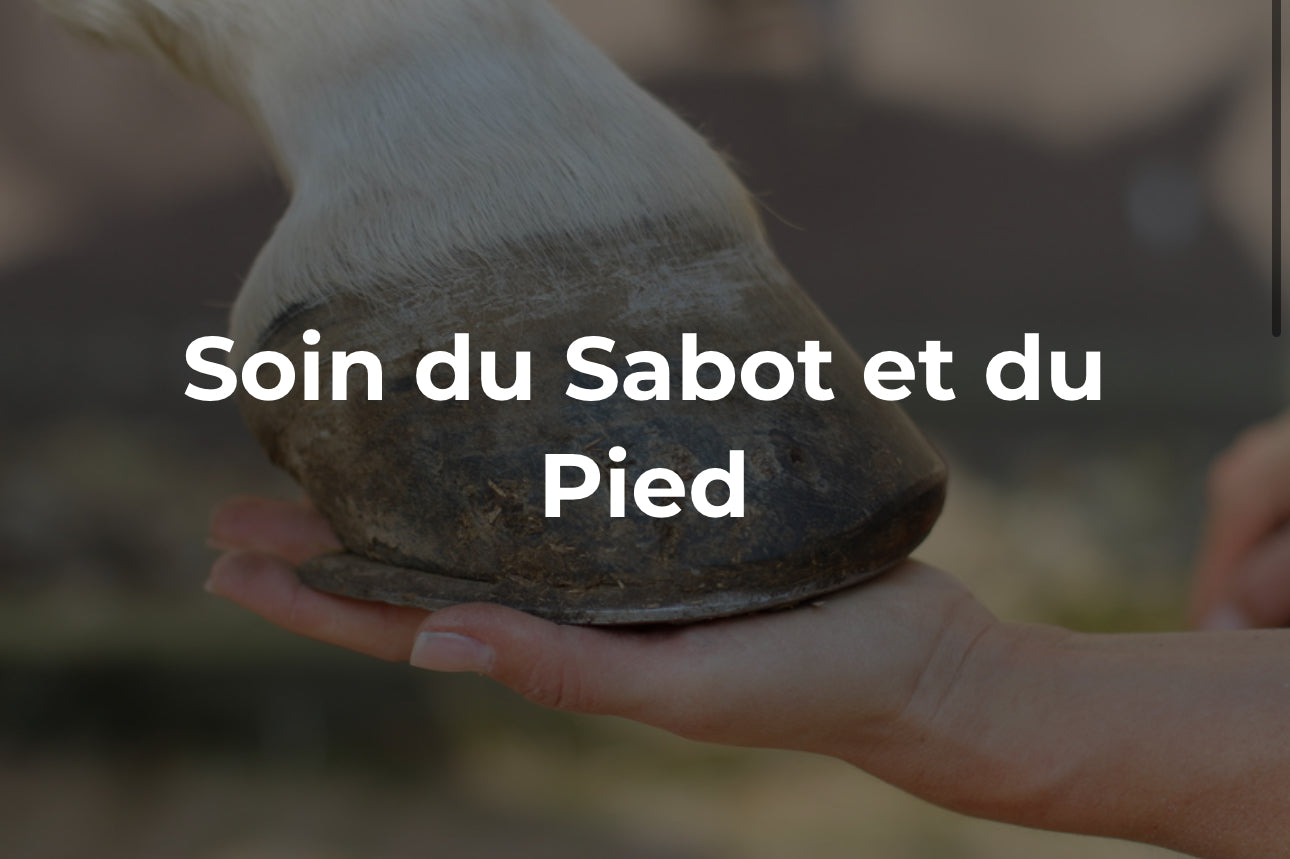 Soin du sabot et du pied
