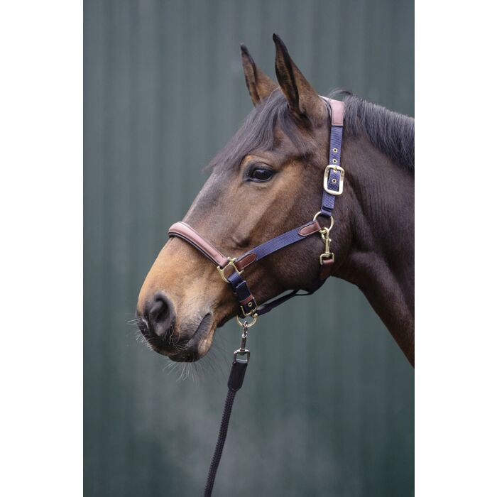 Licol Luna cuir et nylon