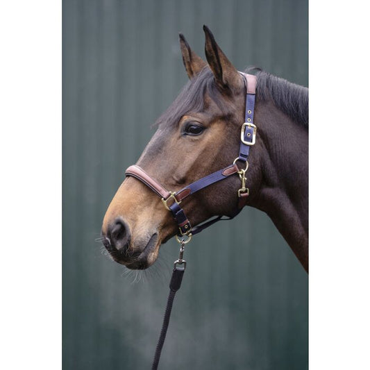 Licol Luna cuir et nylon