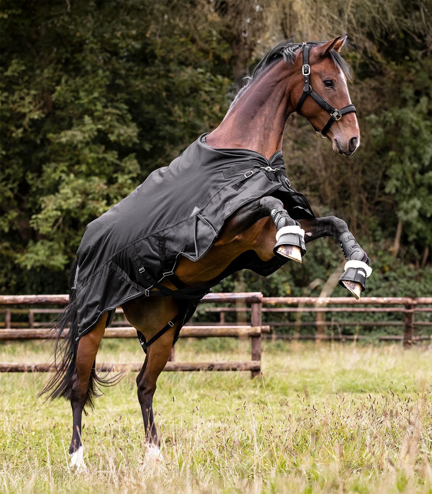 Couverture d’extérieur SCANDIC, 0g