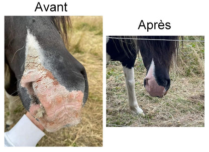 Crème solaire EKIN