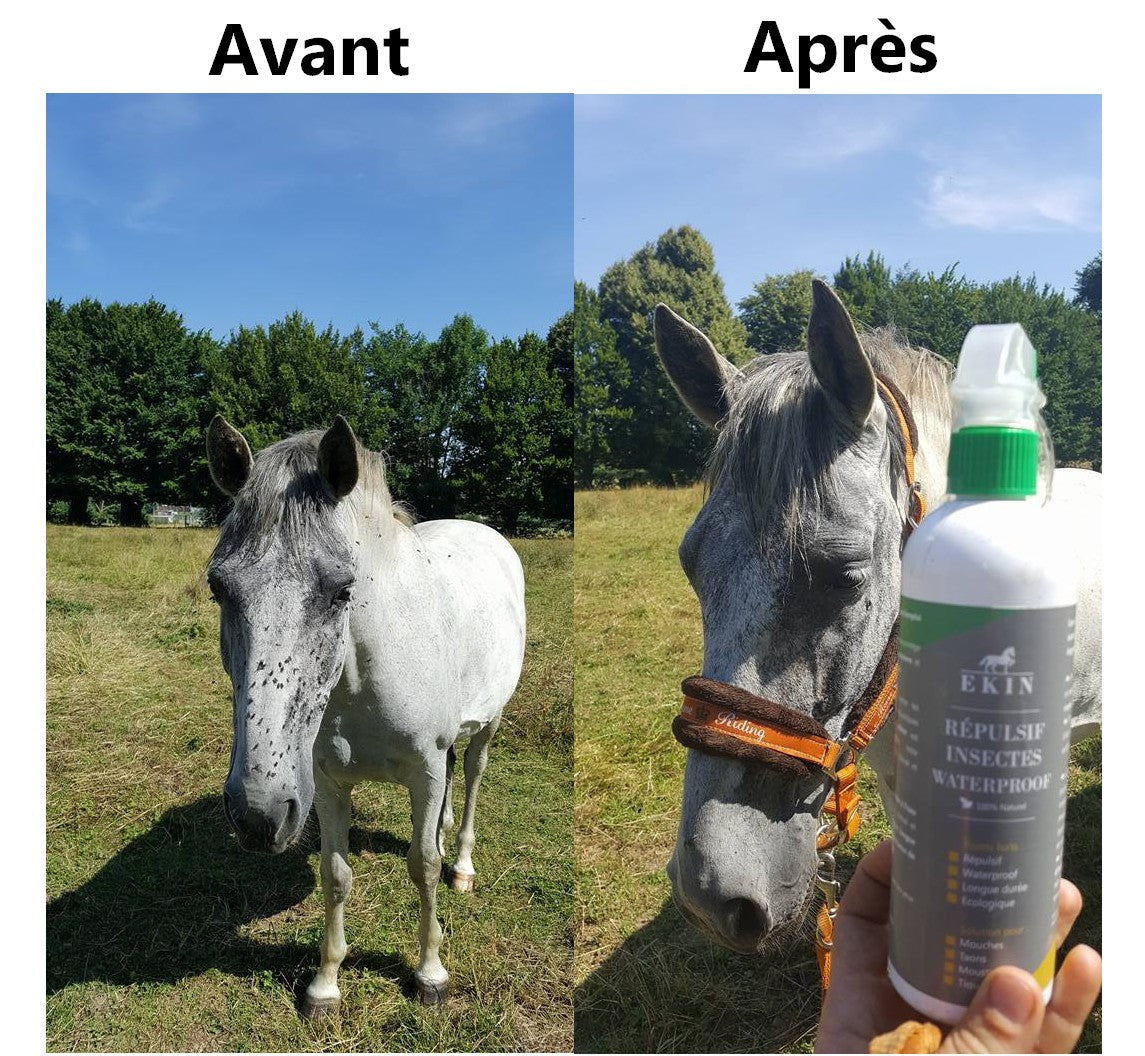 EKIN Spray d’Eté Répulsif Insectes Waterproof