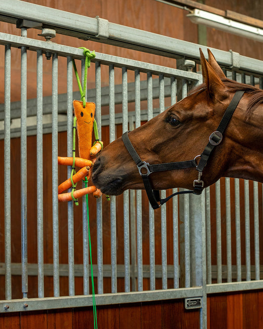 Jouets pour chevaux avec filet à foin