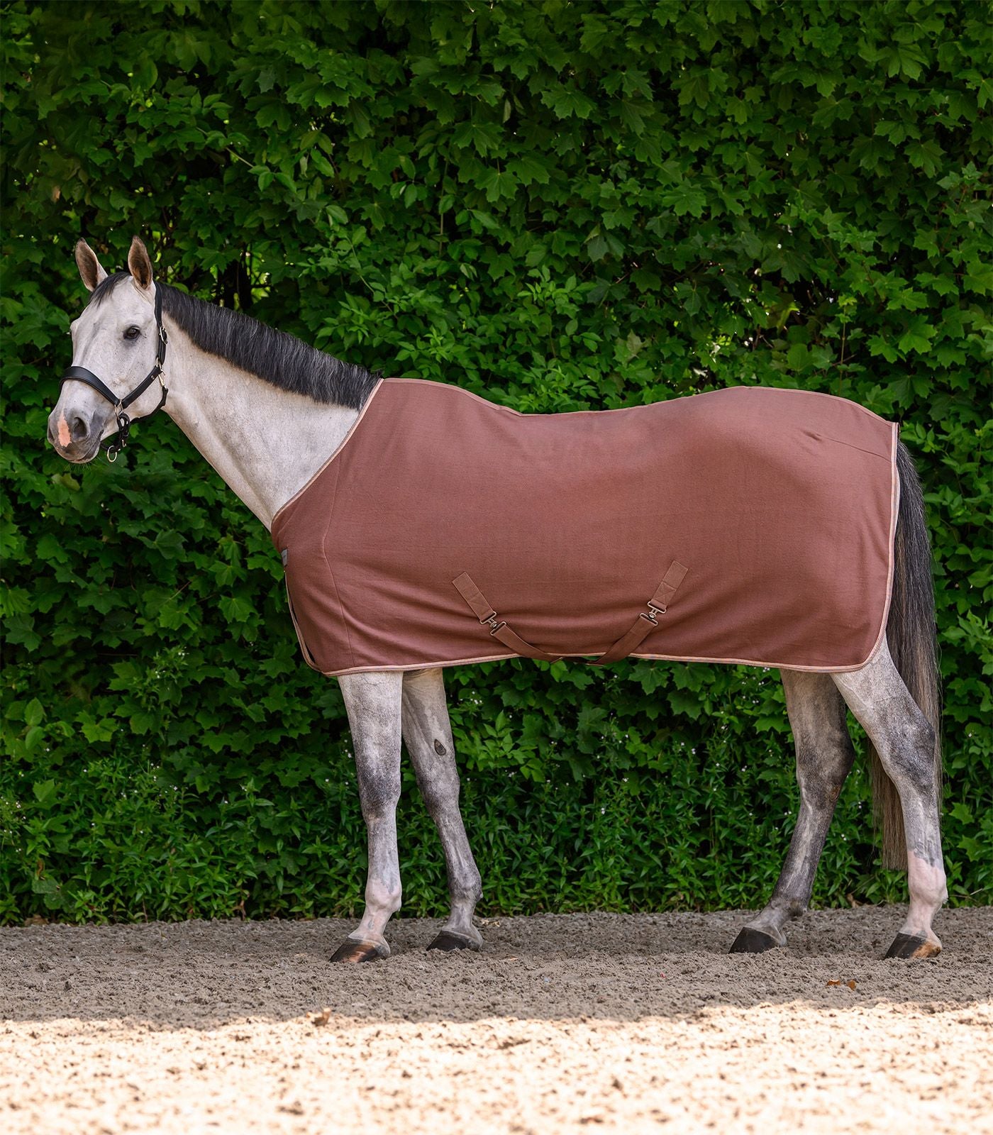 Couverture polaire ECONOMIC avec sangles croisées