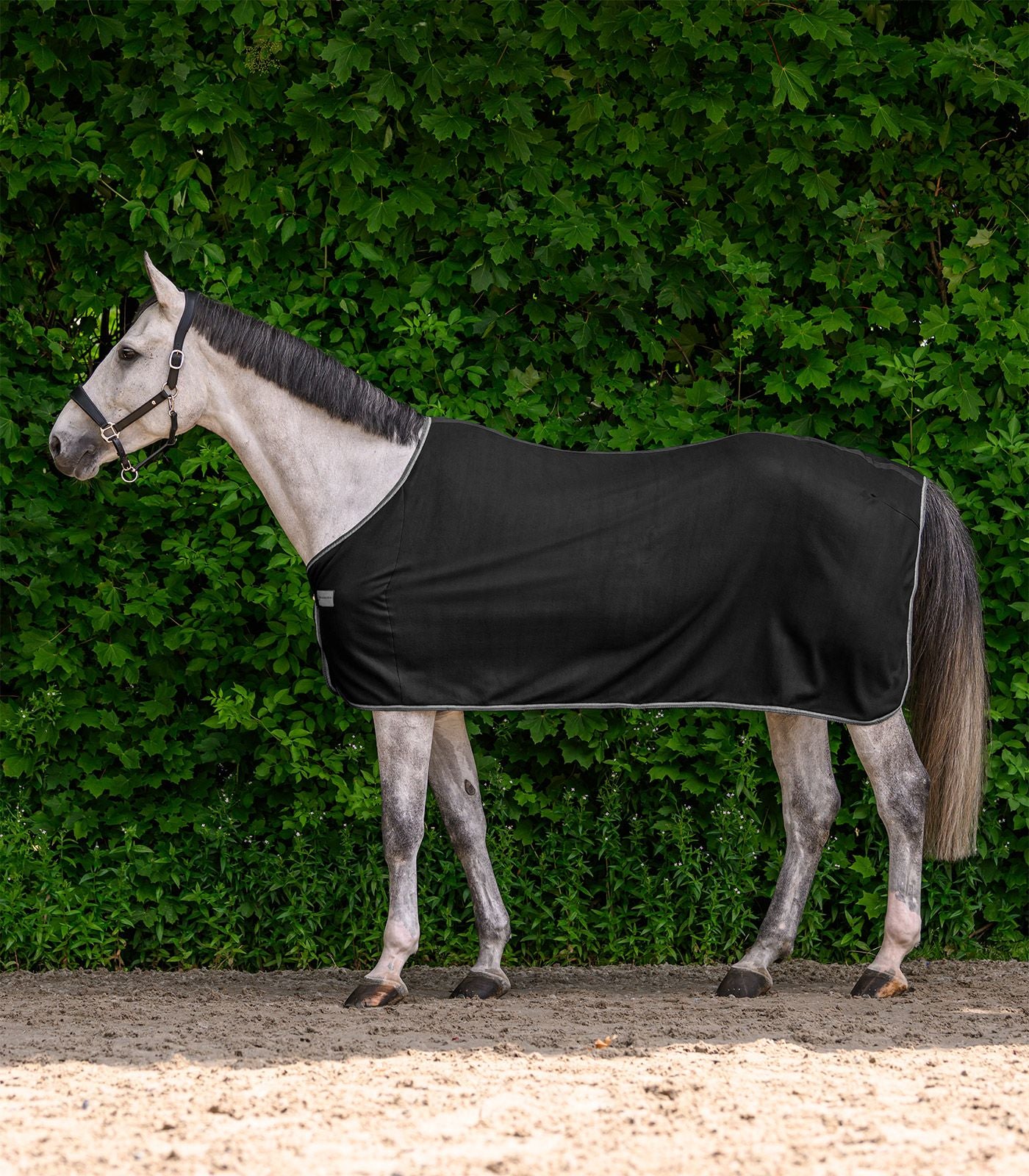 Couverture polaire ECONOMIC