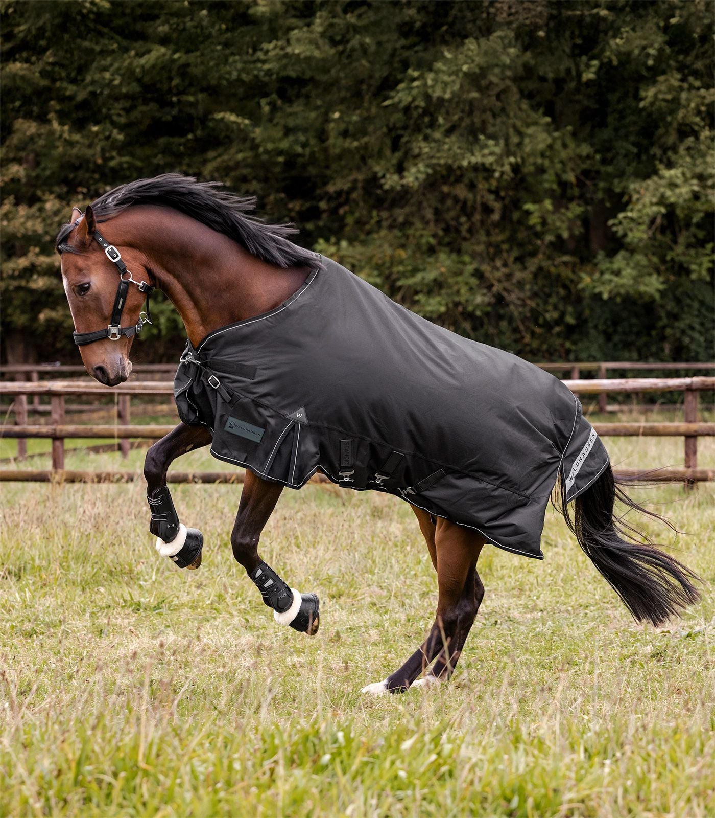 Couverture d’extérieur SCANDIC, 0g