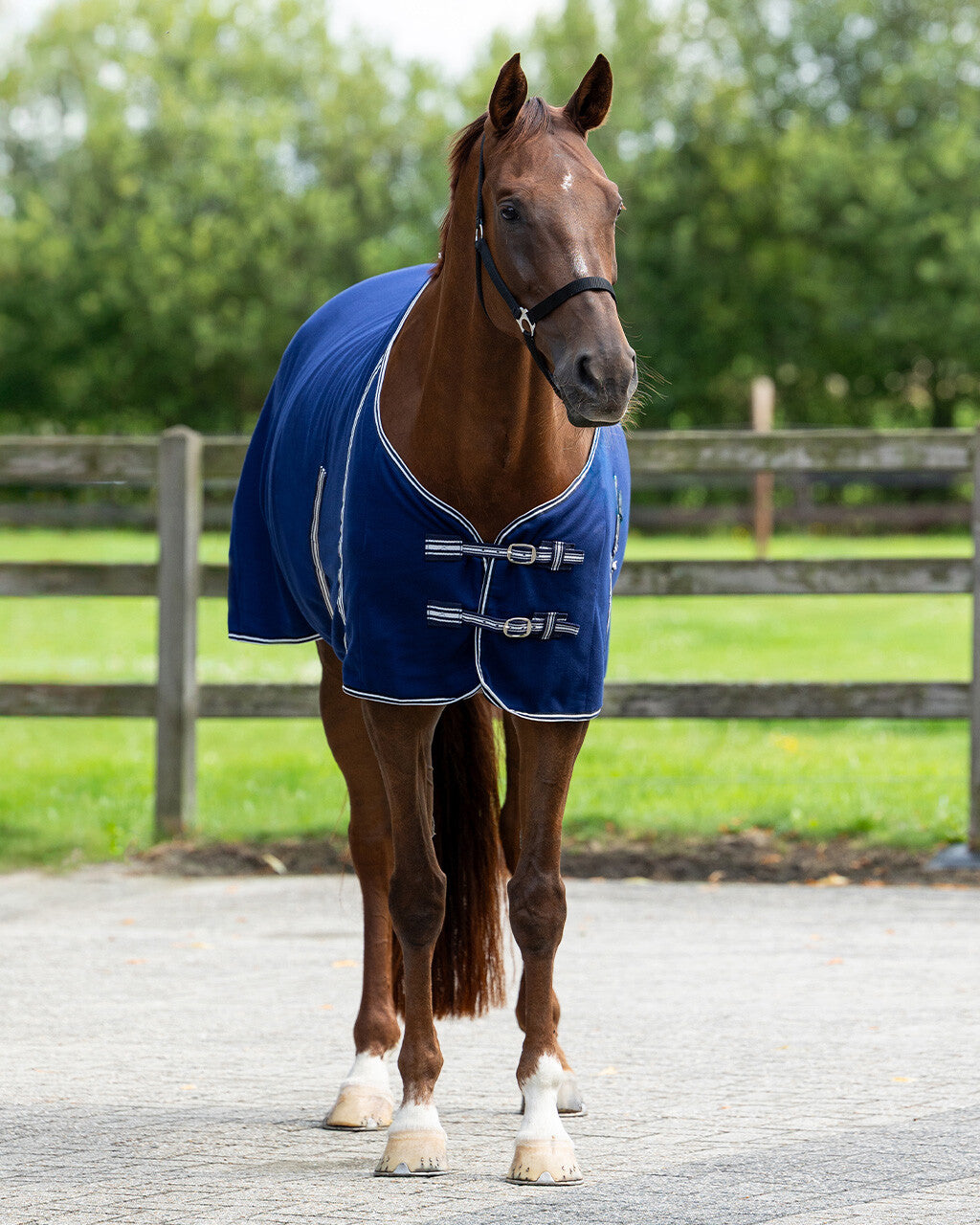 Couverture polaire Basic avec sangle