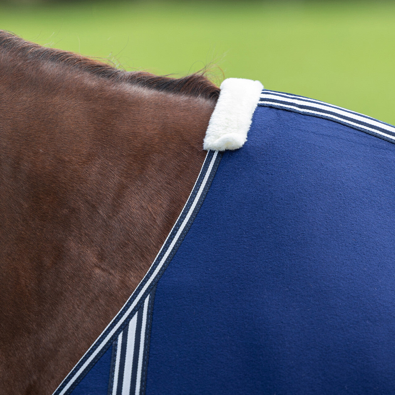 Couverture polaire Basic sans sangle