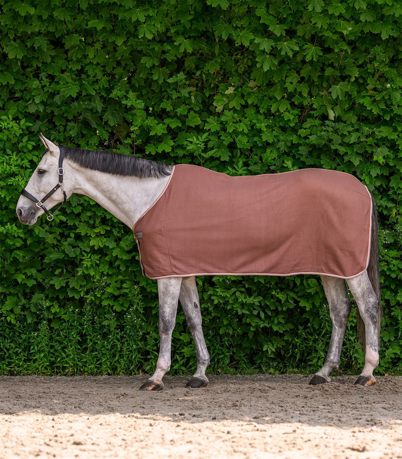 Couverture polaire ECONOMIC