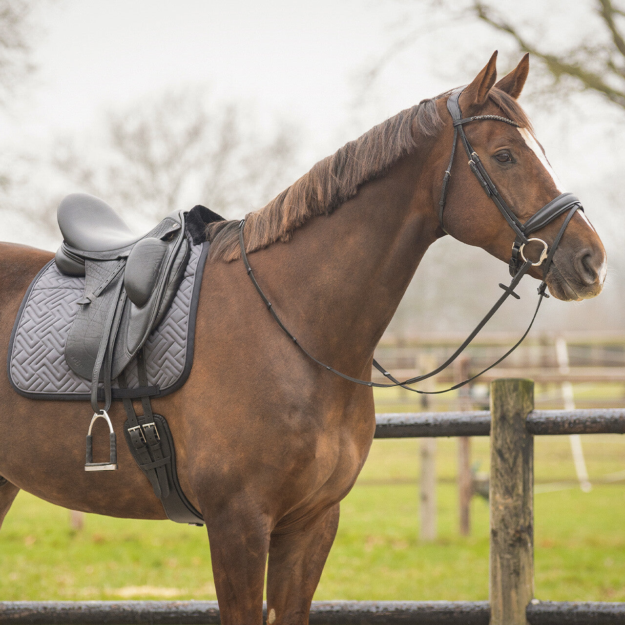 Tapis de selle Sensisoft