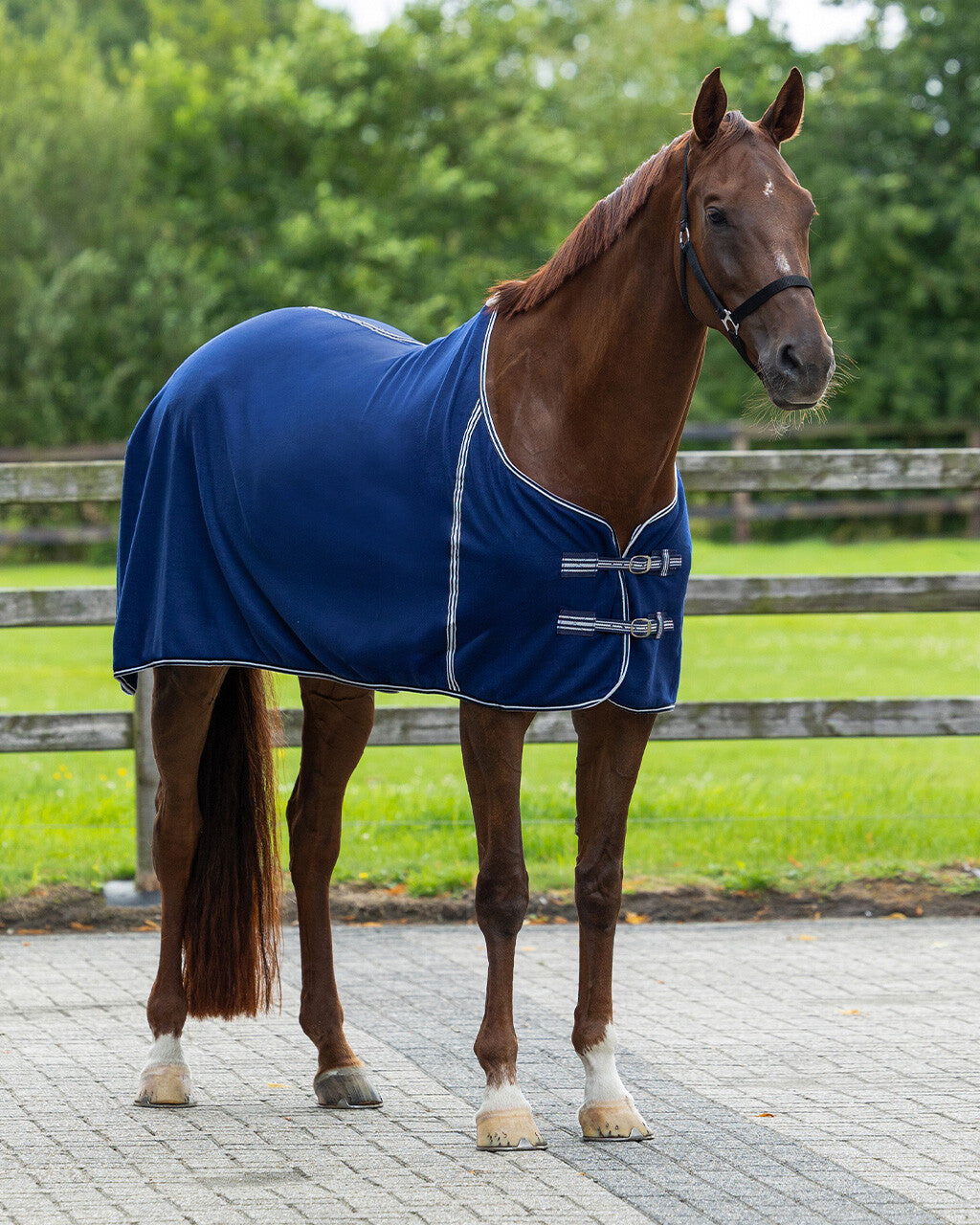 Couverture polaire Basic sans sangle