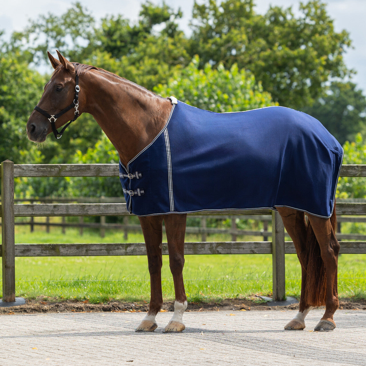 Couverture polaire Basic sans sangle