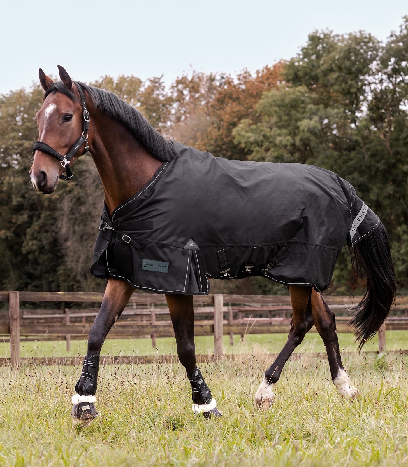 Couverture d’extérieur SCANDIC, 0g