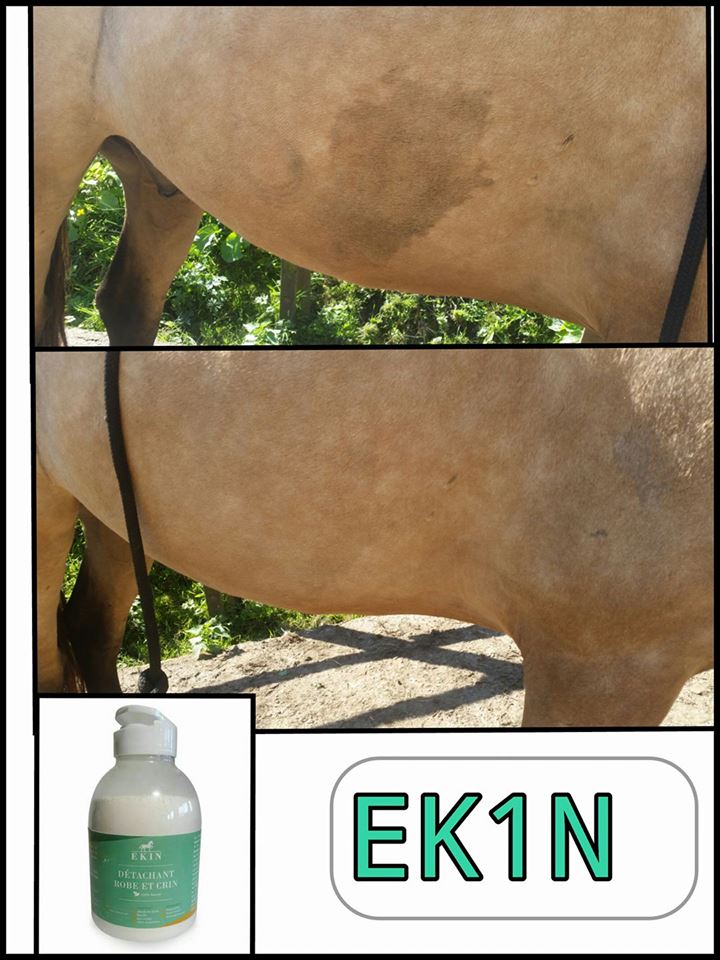 EKIN Détachant Robe et Crin