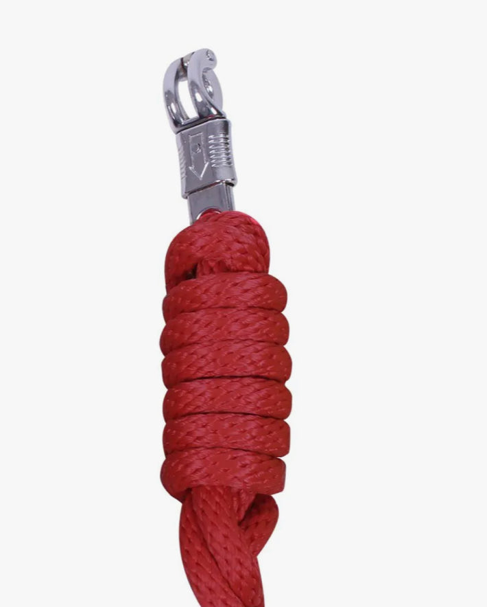 Longe avec mousqueton antipanique
