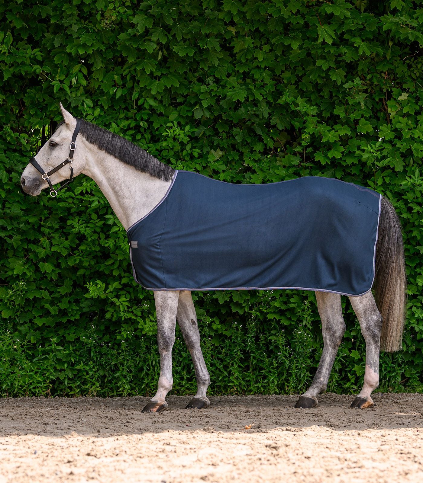 Couverture polaire ECONOMIC