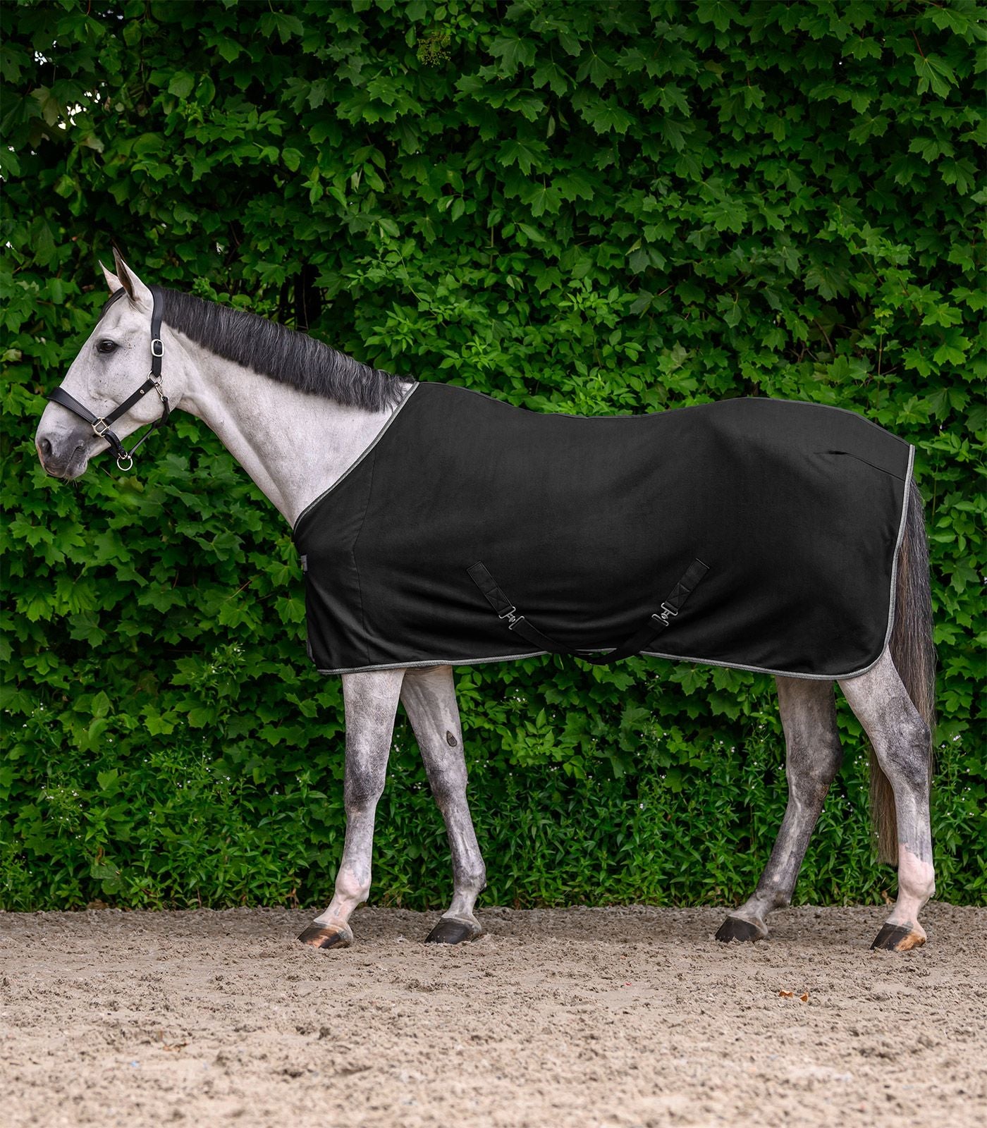 Couverture polaire ECONOMIC avec sangles croisées