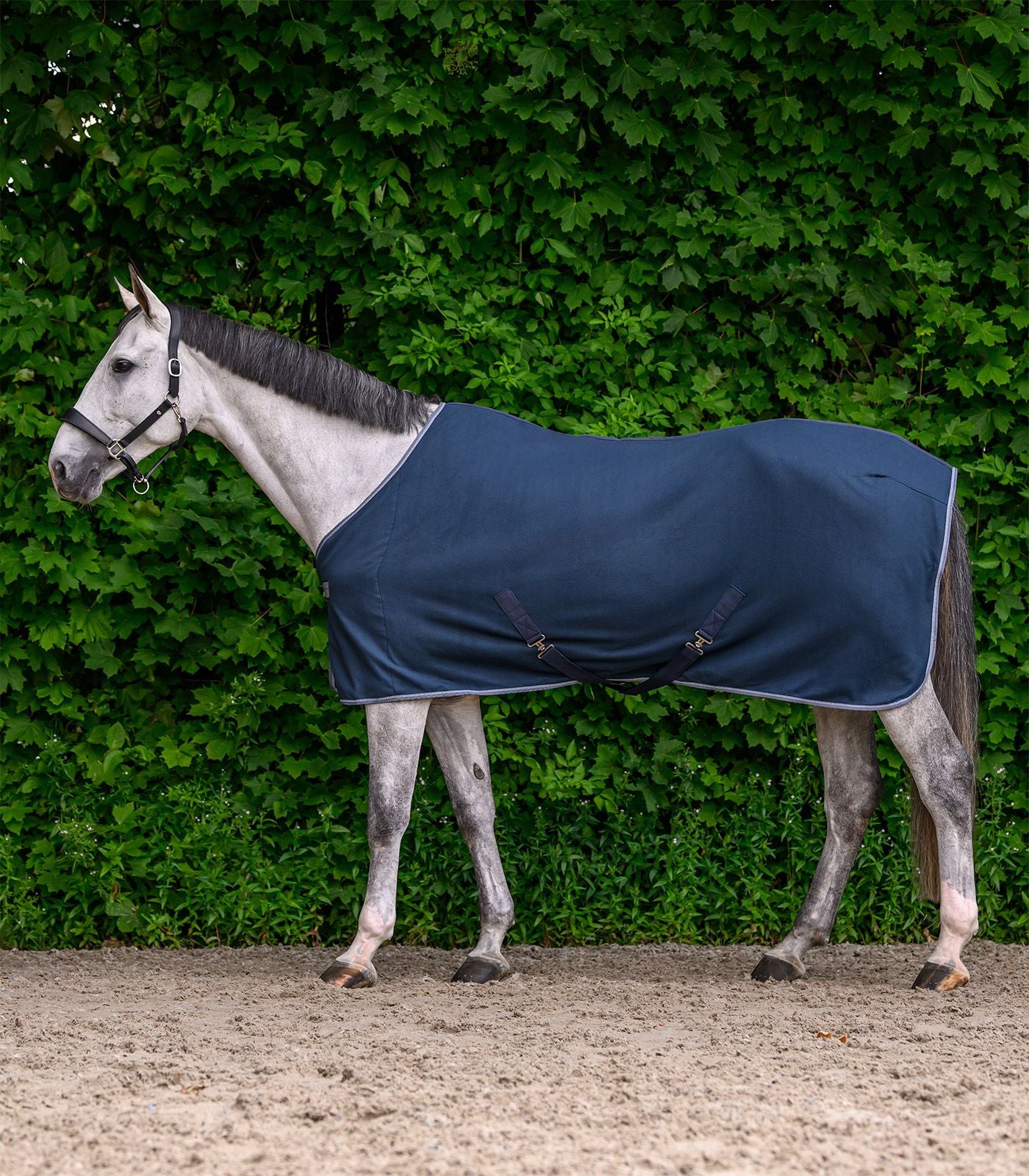 Couverture polaire ECONOMIC avec sangles croisées