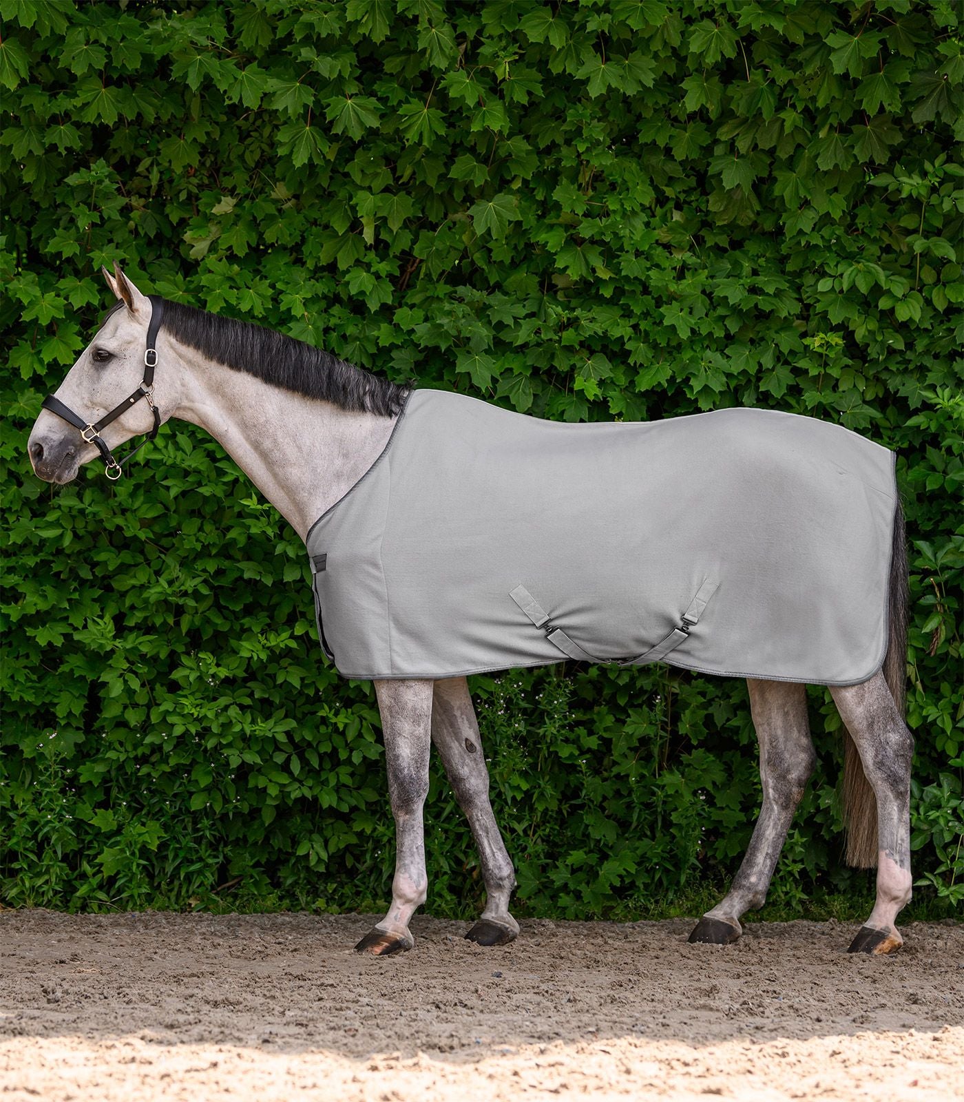 Couverture polaire ECONOMIC avec sangles croisées