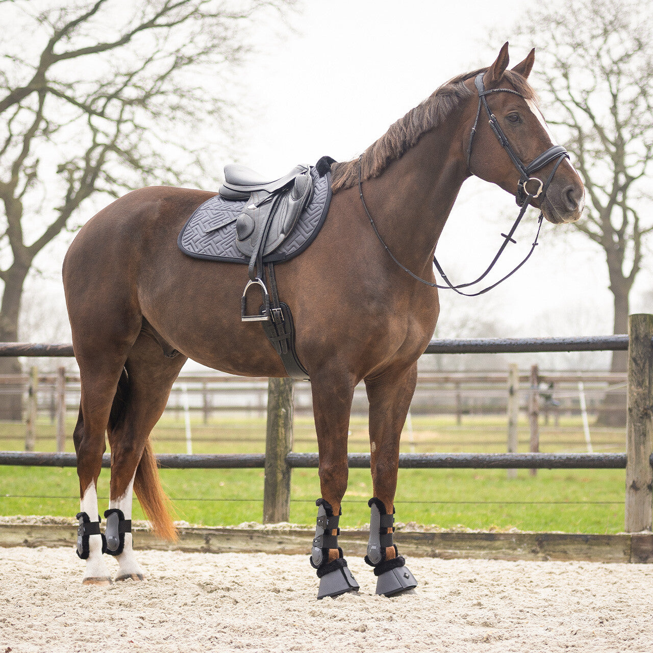 Tapis de selle Sensisoft