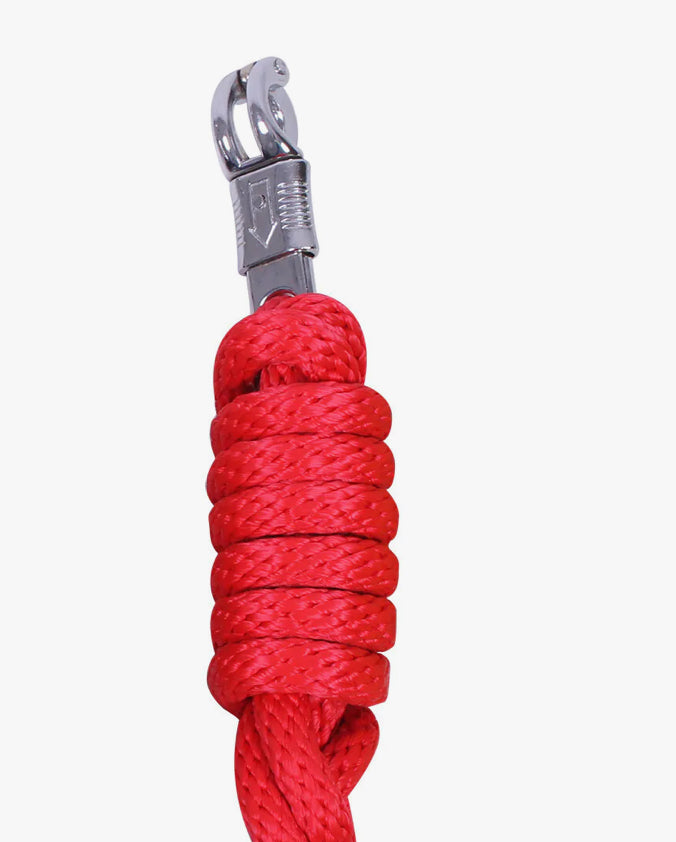 Longe avec mousqueton antipanique