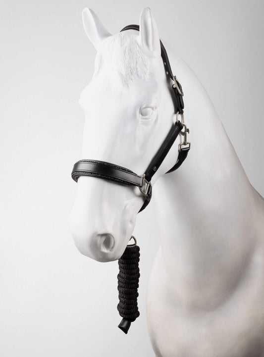 Dynasty Licol en cuir et longe ensemble