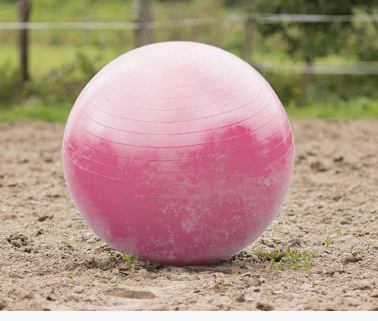 Ballon de jeu pour chevaux