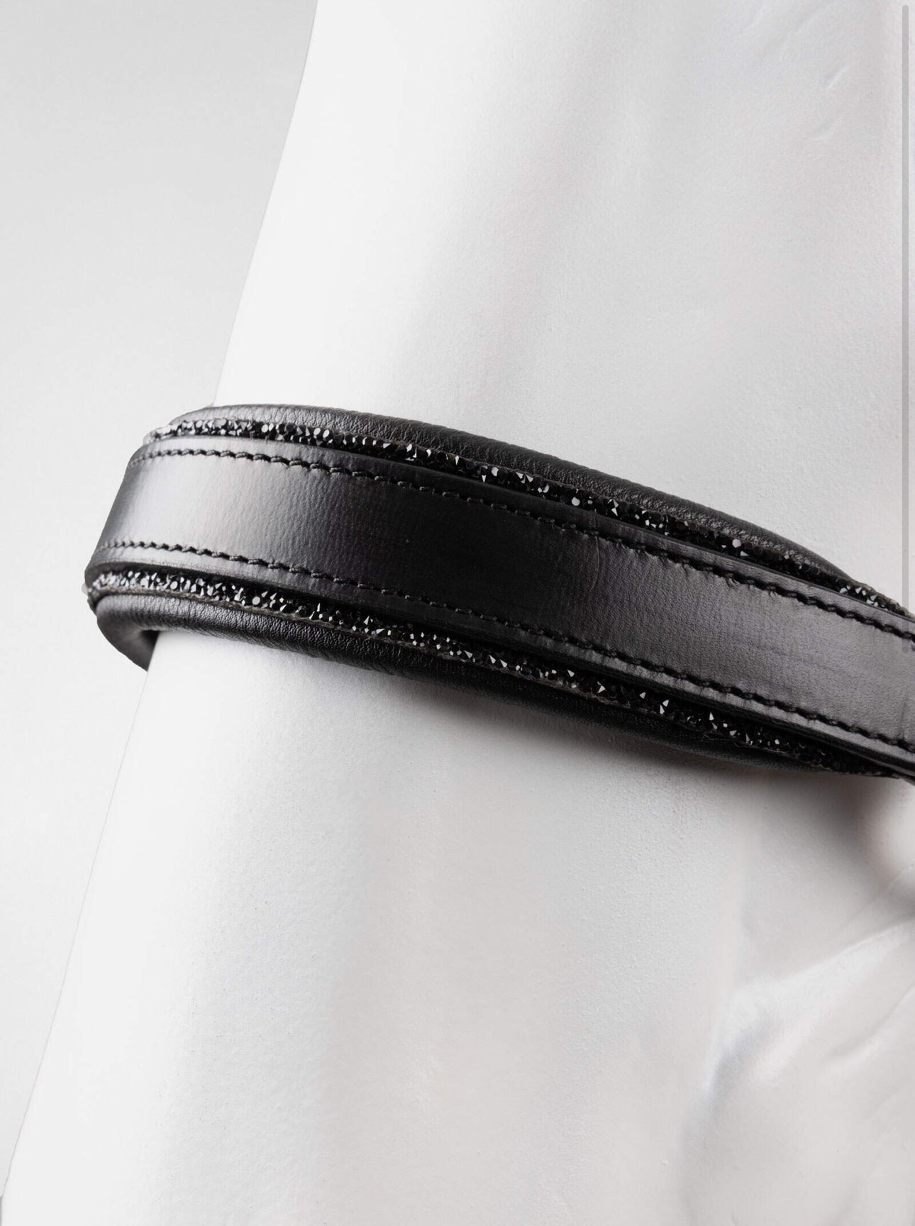 Dynasty Licol en cuir et longe ensemble