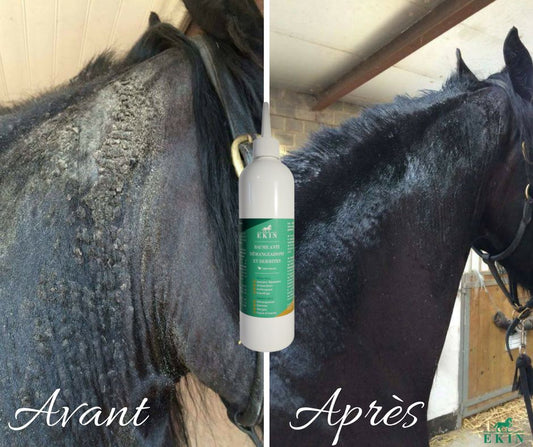 EKIN Baume Anti-Démangeaisons et Dermites