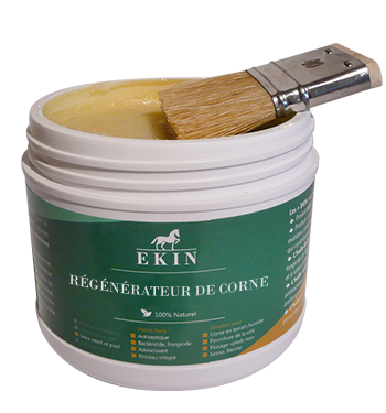 EKIN Régénérateur Corne