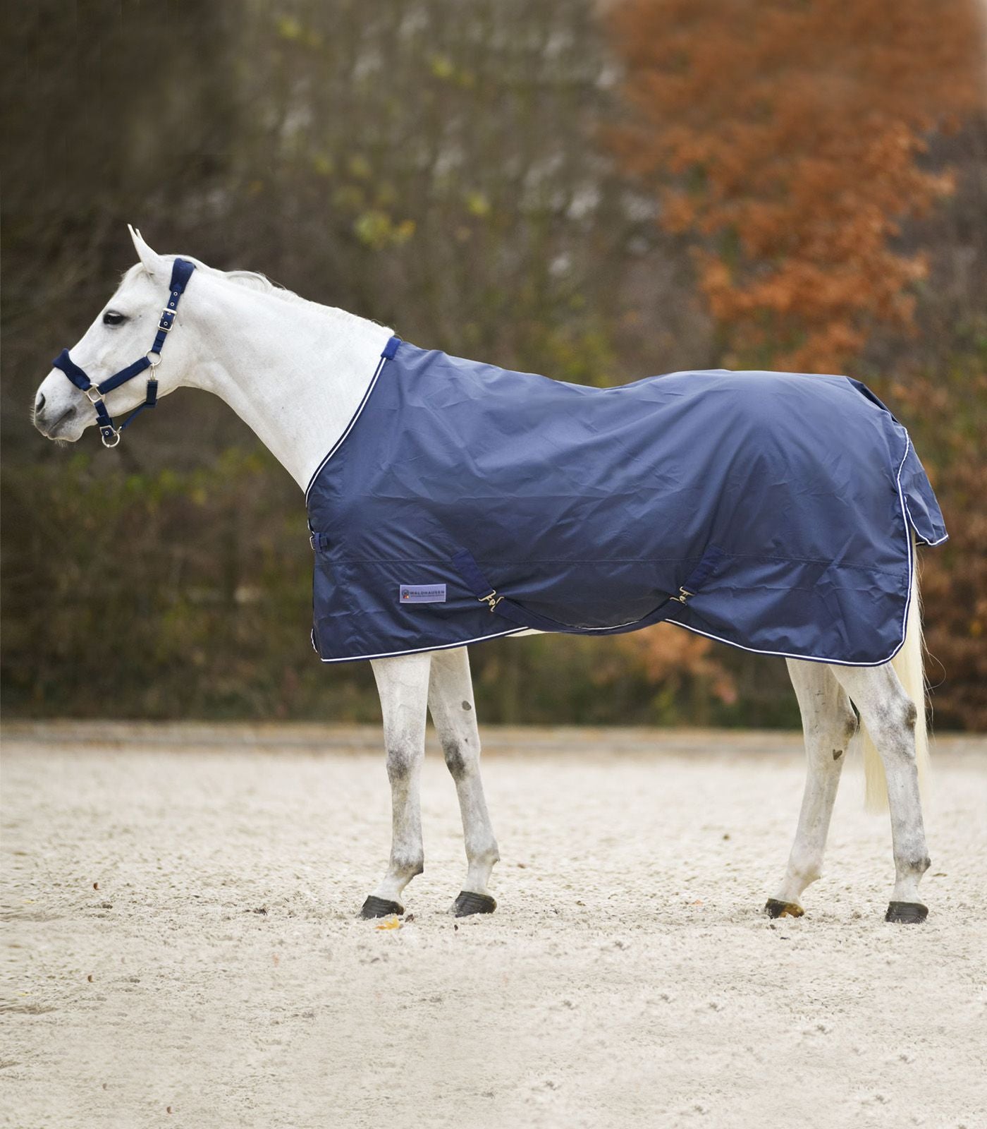 Chemise de pluie ECONOMIC